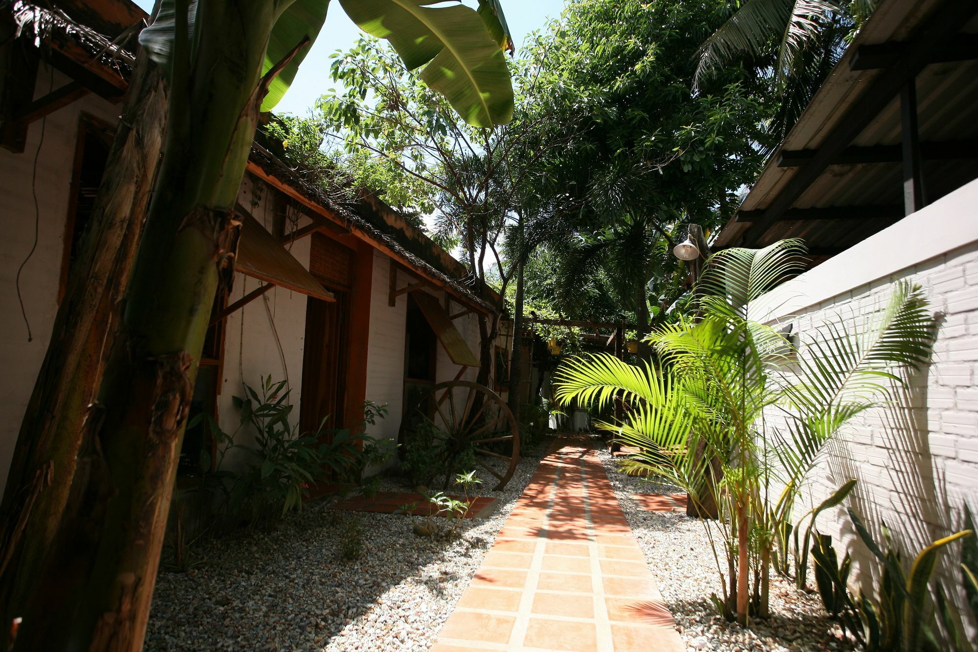 Langchia Hostel Duong Dong Exterior foto